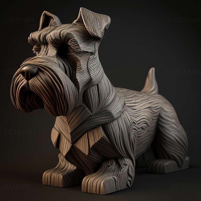 Zwergschnauzer dog